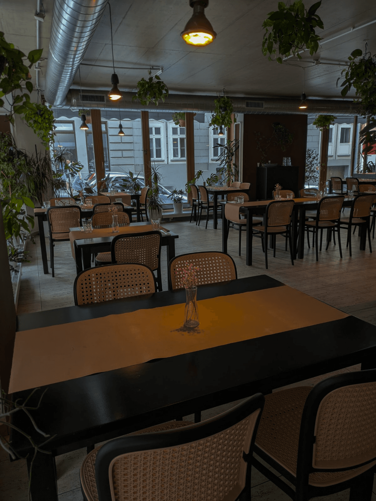 Interiér Restaurace u Agamy